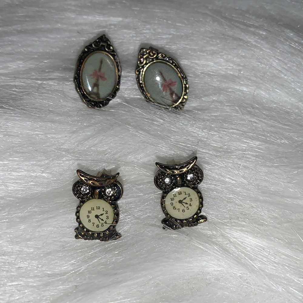 Earrings